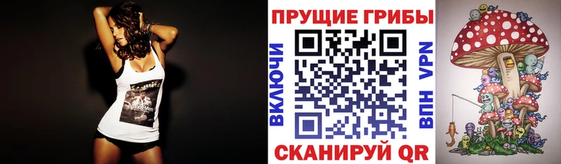 даркнет наркотические препараты  дарнет шоп  Губаха  Галлюциногенные грибы Magic Shrooms 